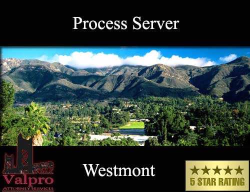 Process Server Westmont