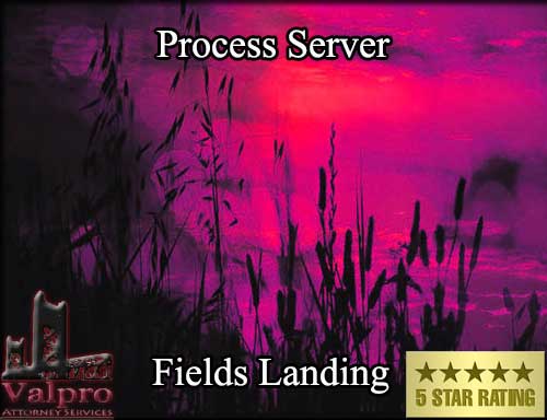 Process Server Fields Landing