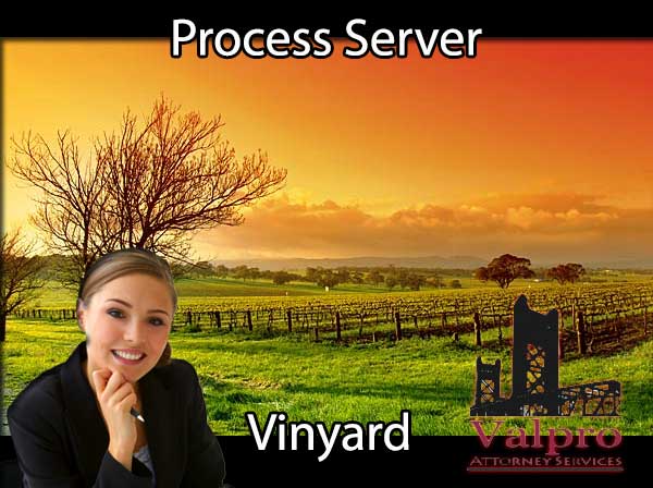 Process Server Vineyard