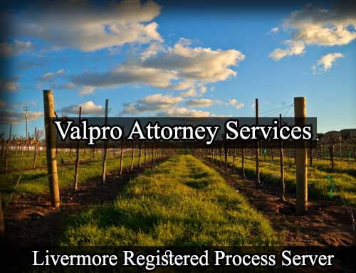 Registered Process Server in Livermore California
