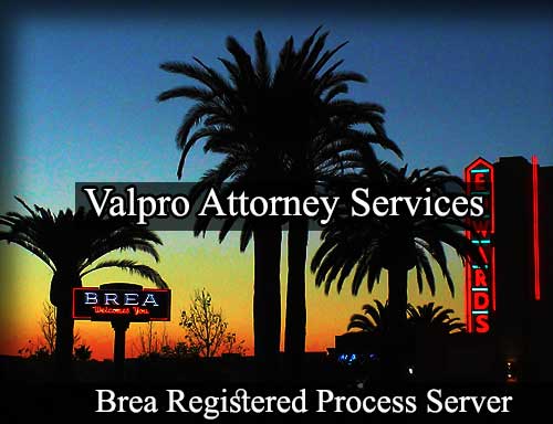 Registered Process Server Brea California