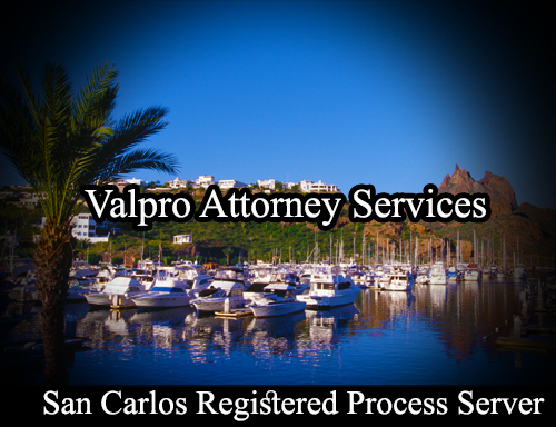 Registered Process Server San Carlos