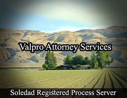 Registered Process Server Soledad