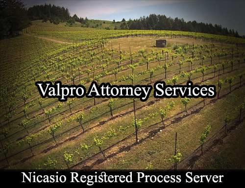Registered Process Server Nicasio California