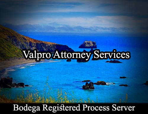 Registered Process Server Bodega California