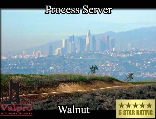 Process Server Walnut