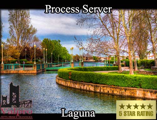 Registered Process Server Laguna California