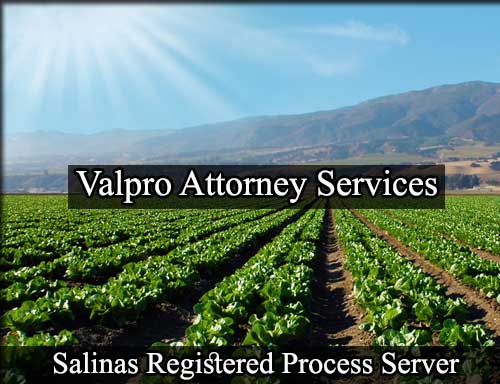 Registered Process Server in Salinas California