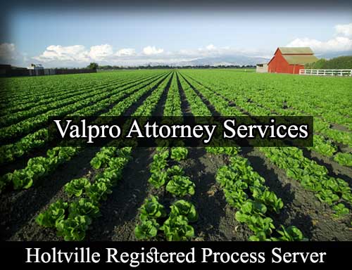 Registered Process Server Holtville California